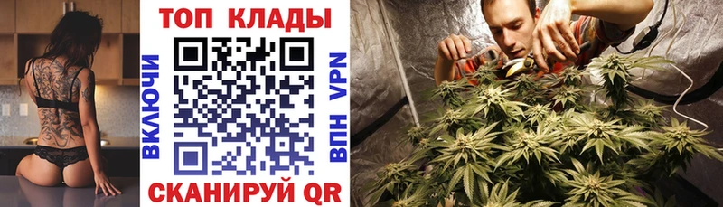 Купить наркотики сайты Владимир Псилоцибиновые грибы МЕФ COCAIN