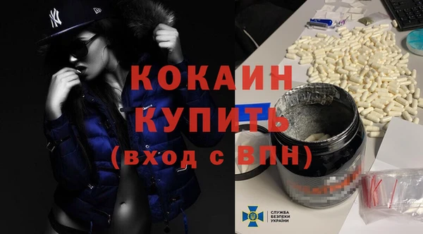 сатива Горняк