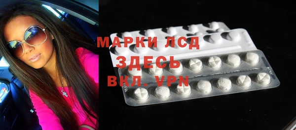 сатива Горняк