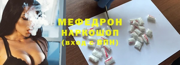 сатива Горняк