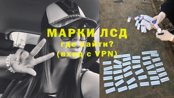 сатива Горняк