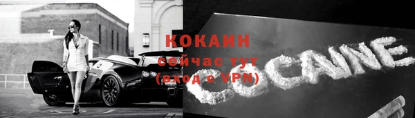 сатива Горняк