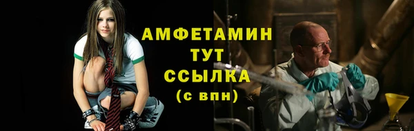сатива Горняк