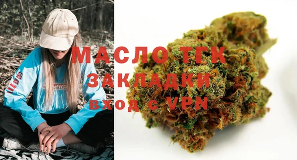 сатива Горняк