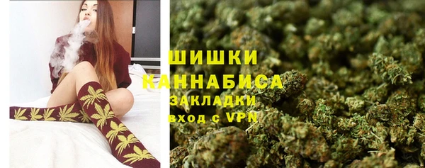 сатива Горняк