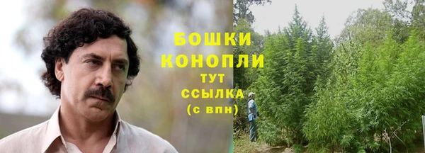 сатива Горняк