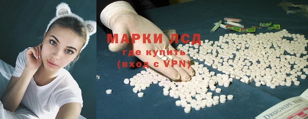 сатива Горняк