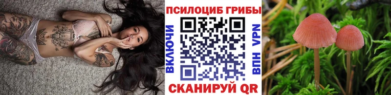 купить закладку  darknet как зайти  Галлюциногенные грибы Cubensis  Владимир 