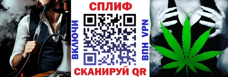 Конопля план Владимир
